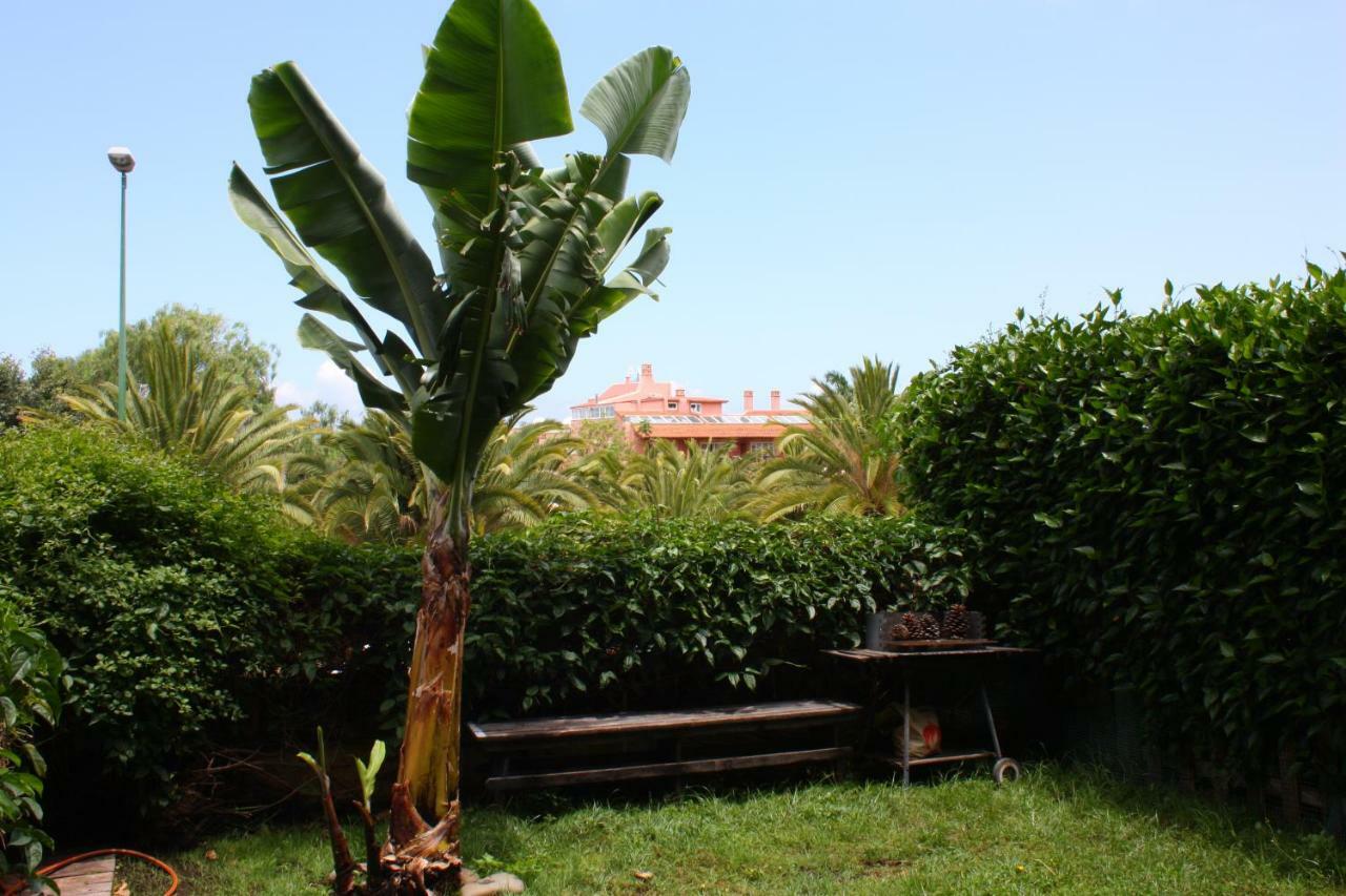 Apartamentos Con Jardin Y Pescina Puerto de la Cruz  Exteriör bild